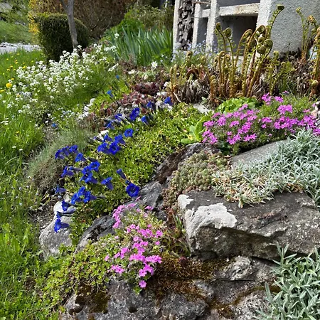 Ferienhaus Haus Vogl *